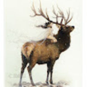 Meet your Posher, Janell